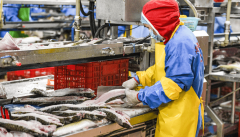 <b>咸宁以全链条管理建牢食安平易近生底线 夯实高</b>